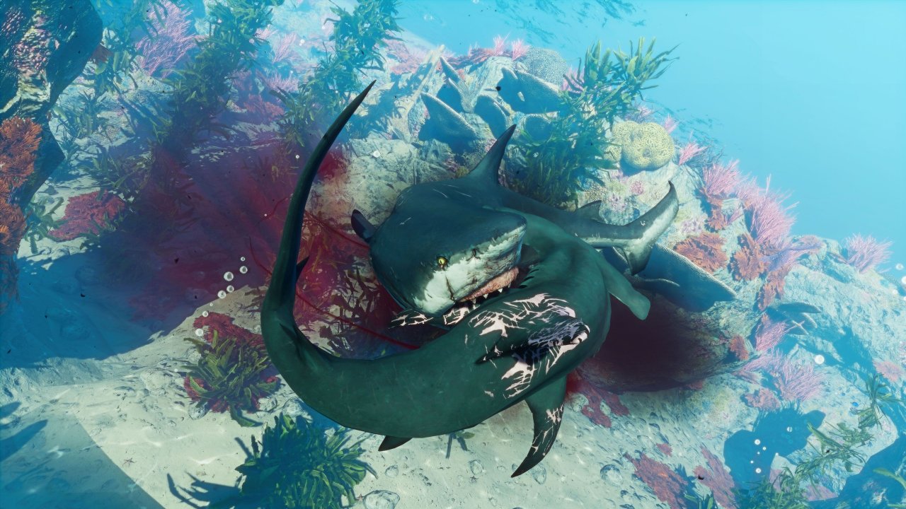 [20/02/2020] Maneater: Maneater in der Hands-on-Vorschau: Dieser Hai hat euch zum Fressen gern! (15)