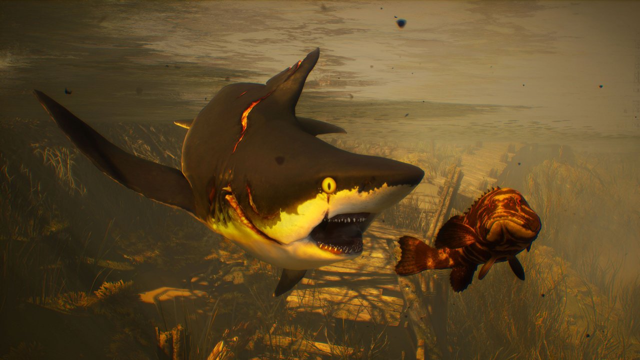 [20/02/2020] Maneater: Maneater in der Hands-on-Vorschau: Dieser Hai hat euch zum Fressen gern! (18)