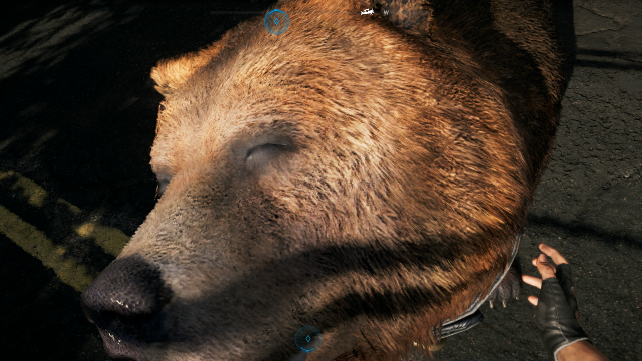 [05/08/2020] Auch ein Bär wie Cheeseburger braucht gelegentlich seine Streicheleinheiten. Diese sind eine schöne Abwechslung zum ansonsten sehr actionreichen Gameplay von Far Cry 5. &nbsp;