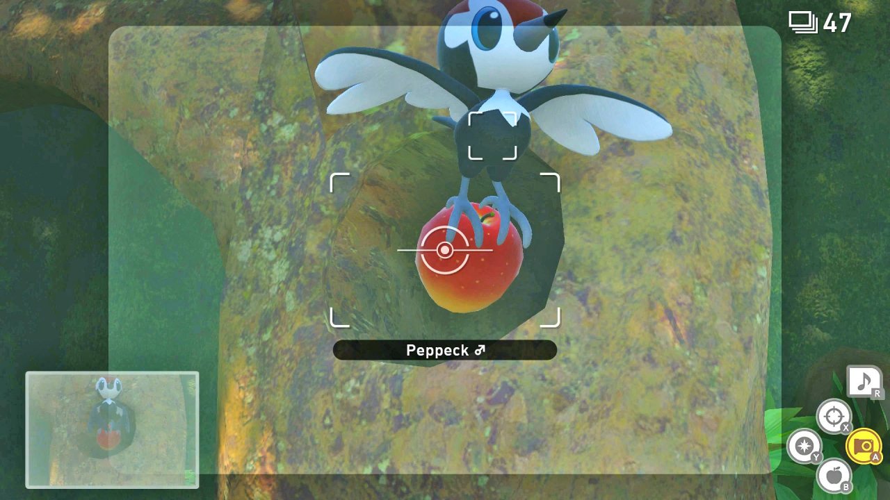 [14/05/2021] New Pokémon Snap: So schießt ihr perfekte Bilder - Guide (3)