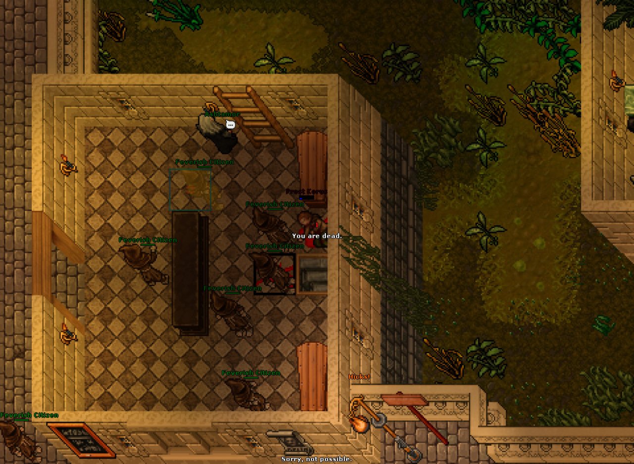 [28/01/2022] Mein erstes Mal Tibia - Eine MMO-Entjungerfung (4)