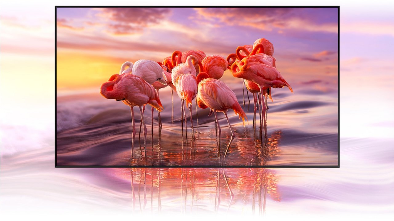 [21/02/2022] Die Quantum Dot Technologie des Samsung QLED TV sorgt für lebendige Farben mit bis zu 100% Farbvolumen bei unterschiedlichsten Lichtverhältnissen.