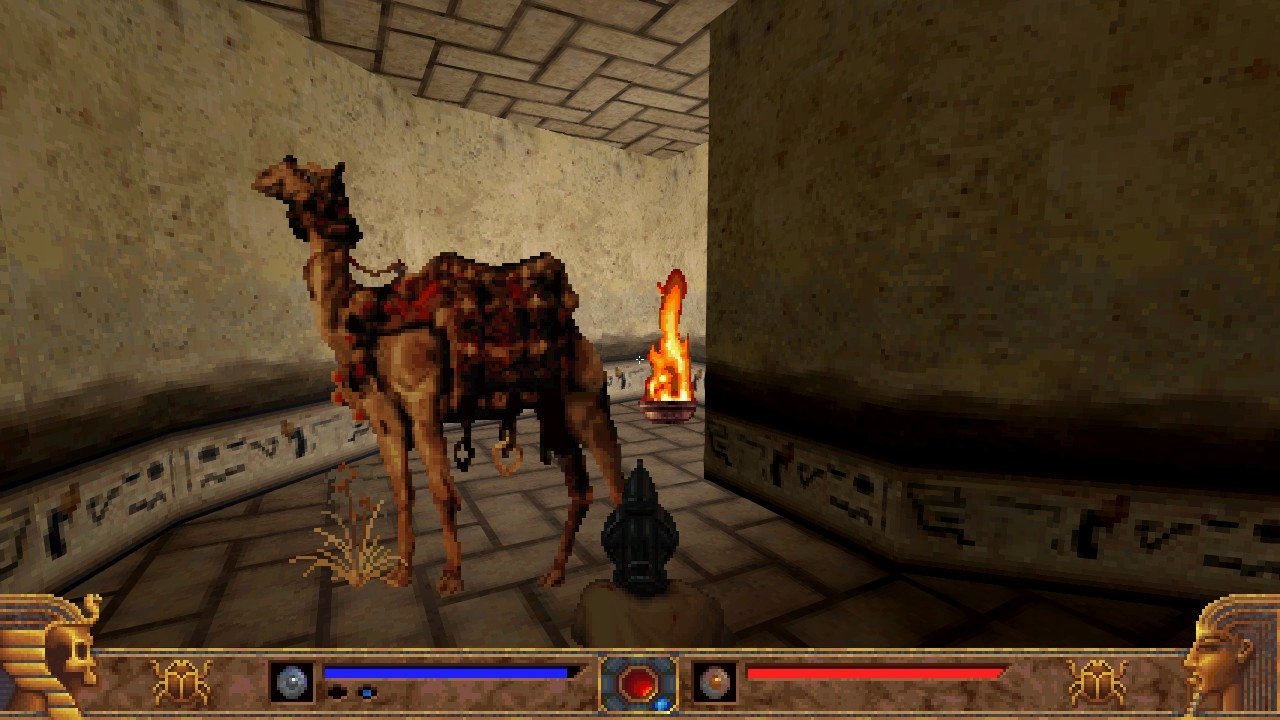 [05/03/2022] Unser treues Kamel bringt uns in bereits besuchte Levels zurück.&nbsp;