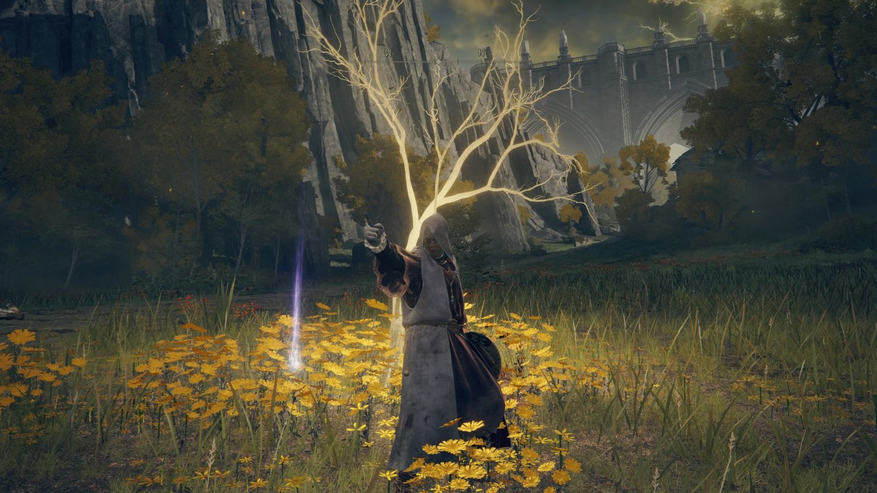 Goldene Saat in Elden Ring an einem Spross