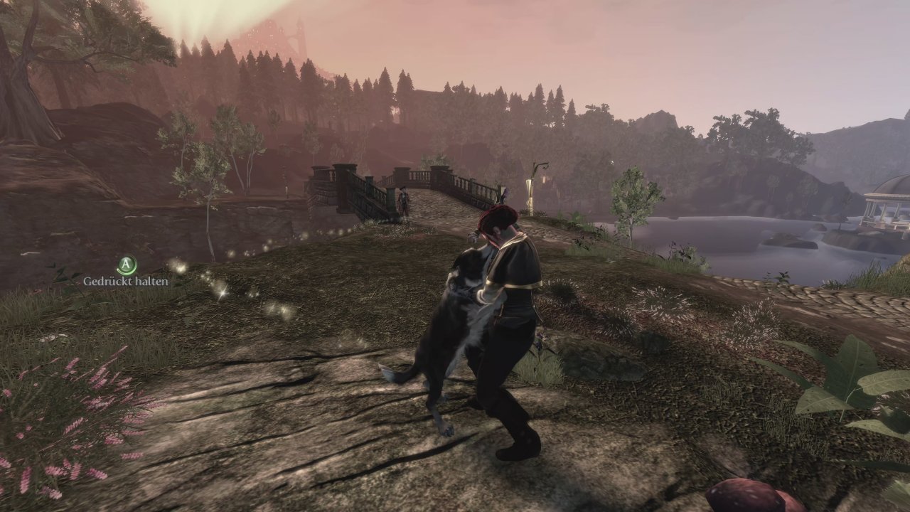 [29/07/2022] Ohne Hund, ohne mich: Wie auch schon in Fable 2 kehrt unser treuer Partner auf vier Pfötchen zurück, der tief mit dem Gameplay des Action-RPGs verwoben ist. Feinde totbeißen, Schätze finden und knuddeln ... hach, was will man mehr.