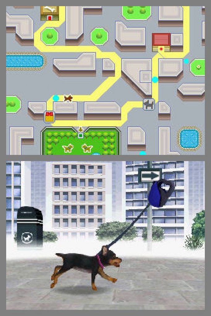 [19/01/2023] NIntendogs