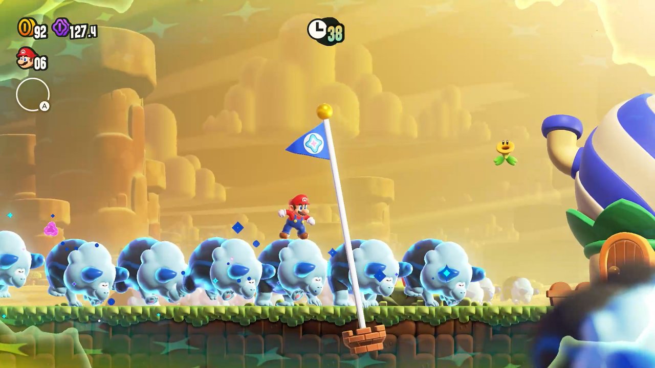 Mario auf einer Herde wilder Schafe