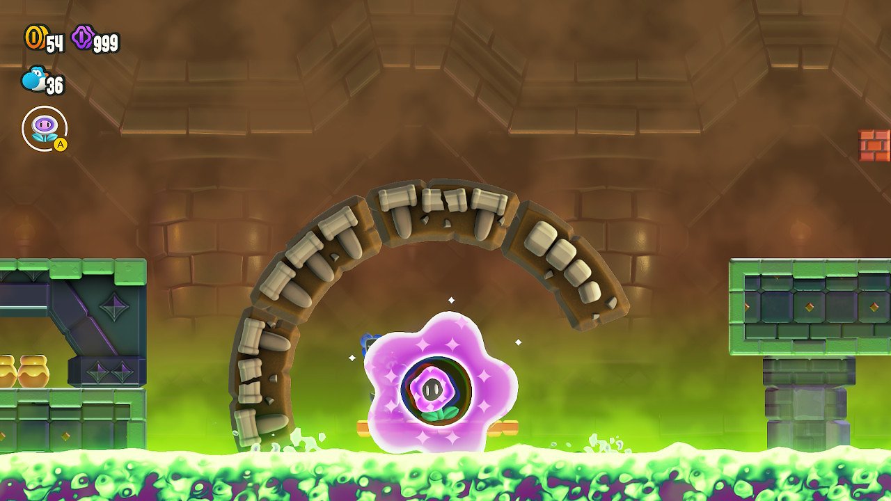 die Wunderblume im Fossilrad