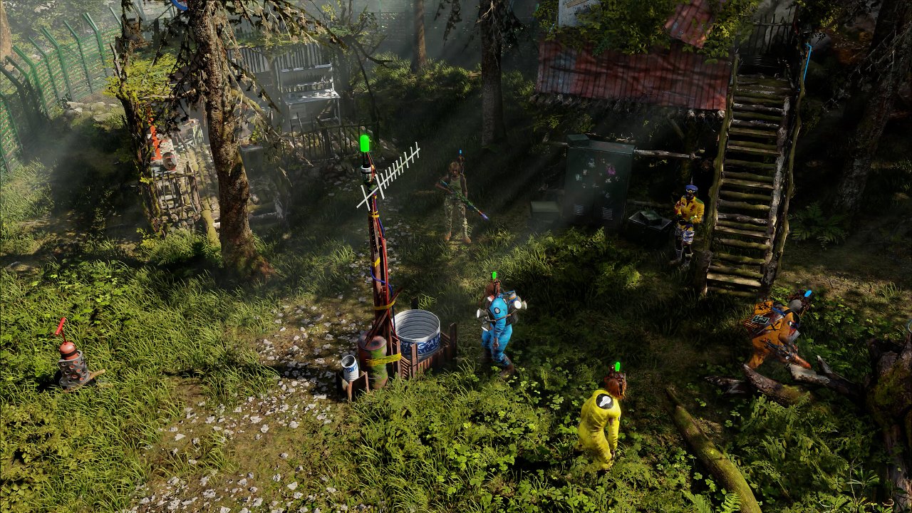 Welcome to ParadiZe Wald