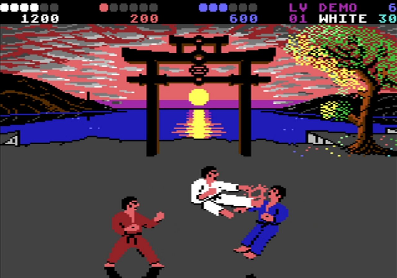 International Karate Plus