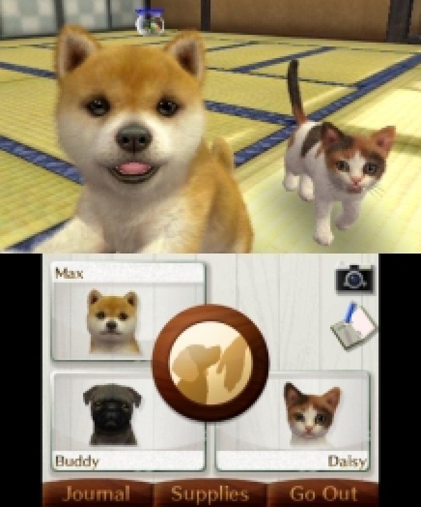 [19/02/2024] Nintendogs + cats: Golden Retriever & neue Freunde