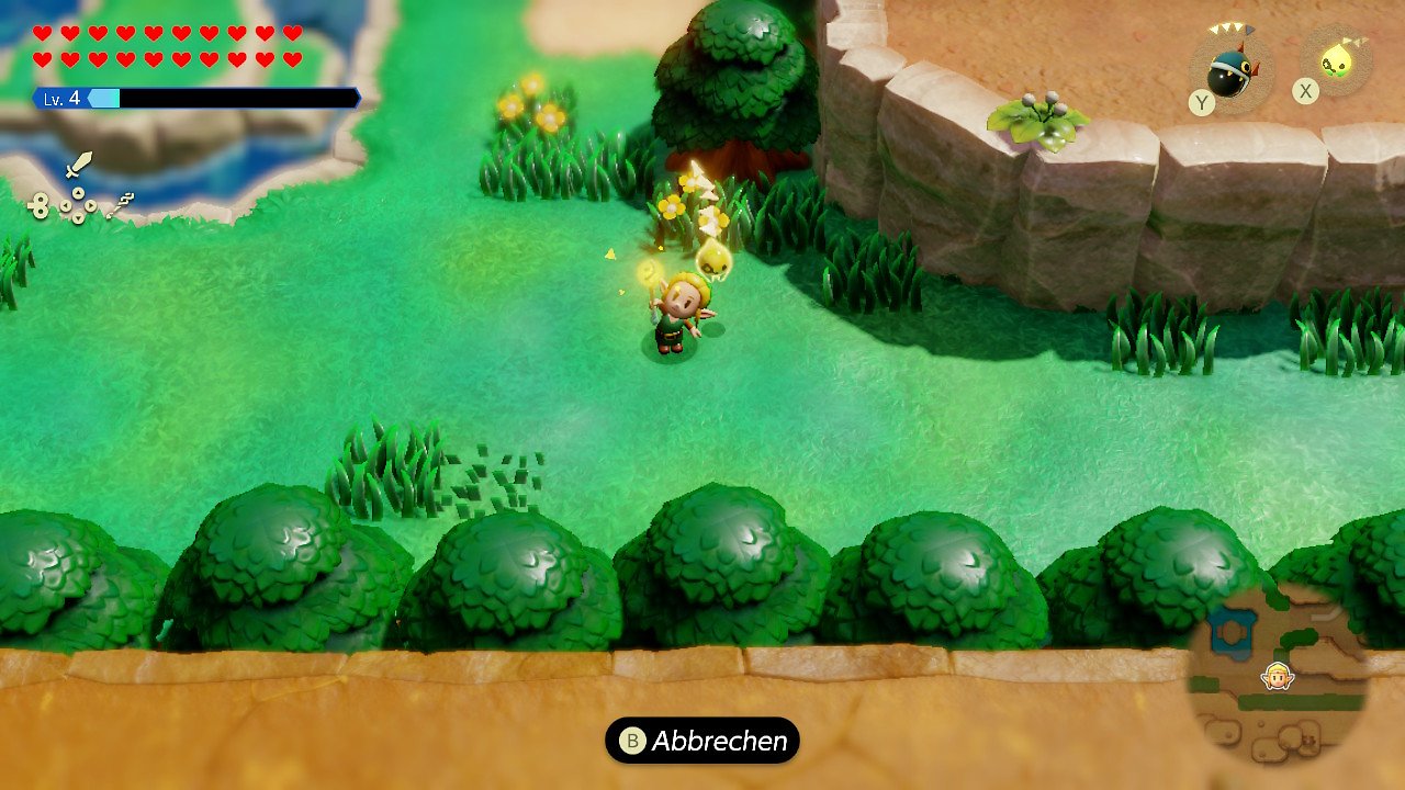 Zelda im Link-outfit.