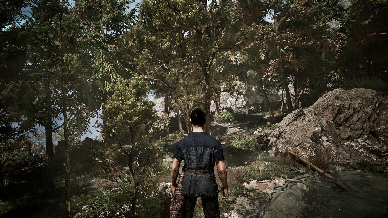 Die Wälder im Gothic Remake