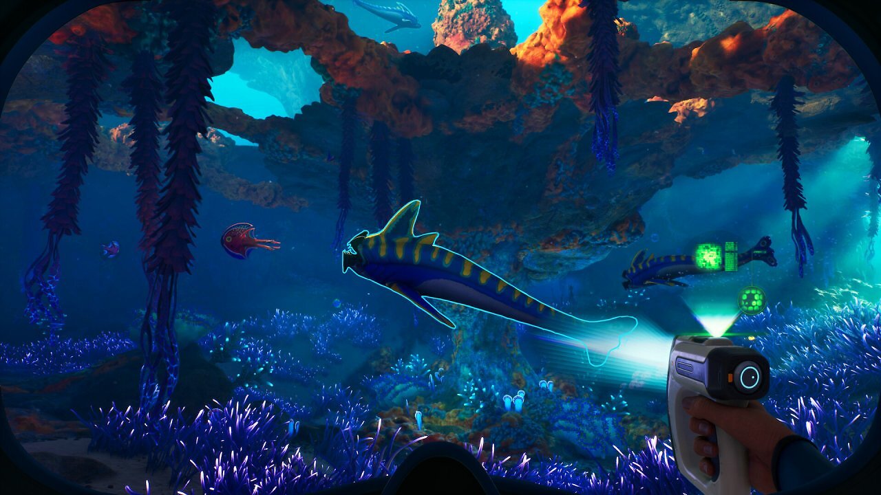 Ein Taucher scannt einen blauen Raubfisch mit gelben Streifen. Im Hintergrund sieht man ein Korallengeflecht.