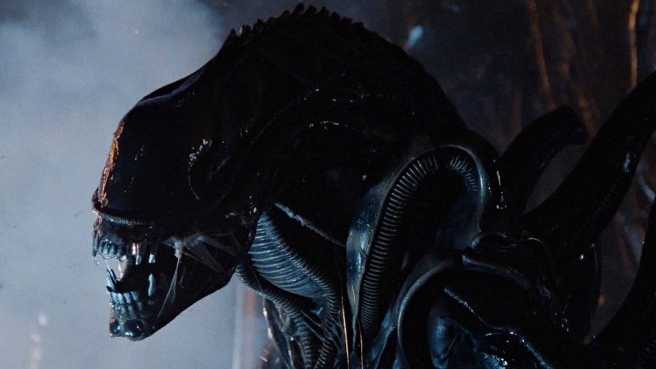 Der Xenomorph aus Alien