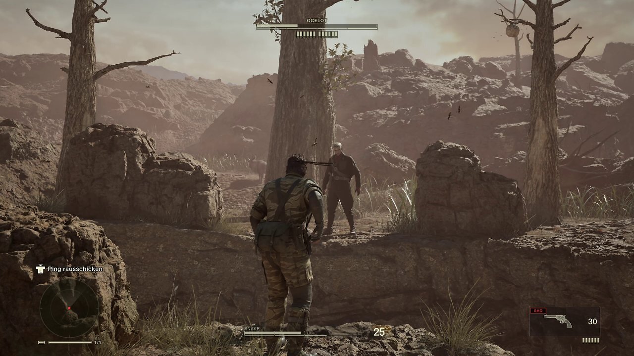 [27/08/2025] Viele Bosse haben versteckte Mechaniken. Mit Ocelot können wir uns ein Cowboy-Duell liefern.