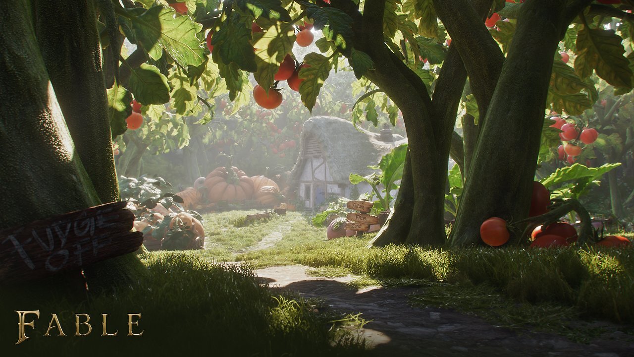 Riesige Tomatensträucher. Dazwischen steht ein Haus in Normalgröße.