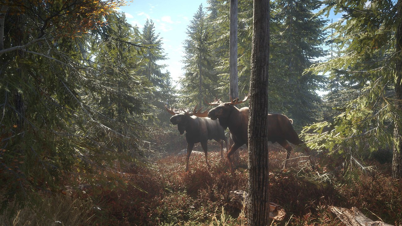 [17/02/2026] Die gefeierte Jagd-Simulation theHunter: Call of the Wild gibt es bei Steam zum Bestpreis. (2)