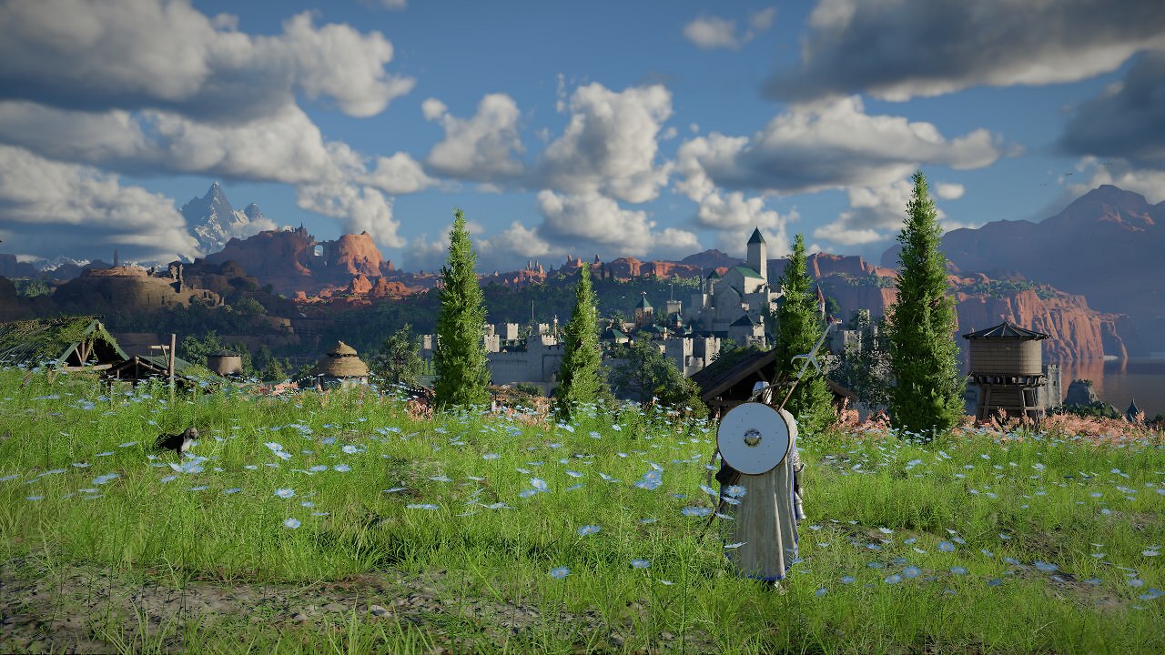 Der Held steht auf einer grünen Wiese mit blauen Blumen. Im Hintergrund sieht man eine mittelalterliche Stadt.