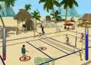 Wii Sports Party (Wii)