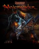 Neverwinter (PC)