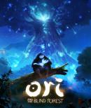 Ori and the Blind Forest (PC)