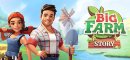 Big Farm Story (PC)