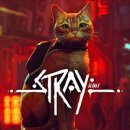 Stray (PC)