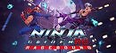Ninja Gaiden: Ragebound (PC)