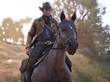 Red Dead Redemption 2 ist nicht genug! Wo bleiben die guten Pferdespiele?
