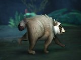 World of Warcraft bringt den wohl niedlichsten Internet-Star nach Azeroth