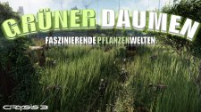 Artikel Vorschau Bild