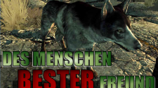 Artikel Vorschau Bild