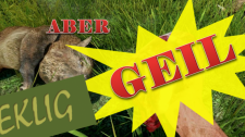 Artikel Vorschau Bild