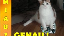 Artikel Vorschau Bild