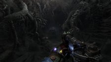 Artikel Vorschau Bild