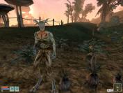 Morrowind