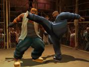 Def Jam: Fight for NY
