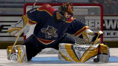 NHL 2007