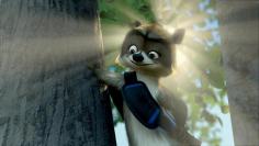 Niedlich und clever: Waschbär Richie 