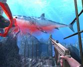 Diver: Patch auf Version 1.06
