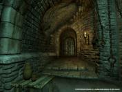 The Elder Scrolls 4: Oblivion