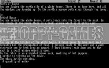 [b]Spiele für die Floppy Disk[/b]: Diese Titel passen noch heute auf Diskette.