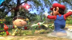 Super Smash Bros., Mario Kart 8 und mehr - Der Ausblick auf die Highlights 2014 für Wii U und Nintendo 3DS.