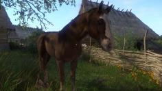 Kingdom Come: Deliverance: Plötze aus The Witcher 3 reiten