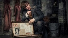 Harry Potter / Phantastische Tierwesen: Wie soll es mit dem Wizarding World Franchise weitergehen? (1)