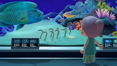 Animal Crossing: New Horizons - So findet ihr alle Meerestiere - Tipps zu Fundort, Jahreszeit, Wert im Guide (1)