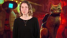 Die Autorin und die Katze aus Stray