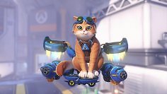 Overwatch: Blizzard kündigt Nerf an - Jetpack Cat ist zu mächtig und wird deshalb ständig gebannt