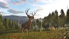 Way of the Hunter 2 startet im Early Access mit ersten Inhalten